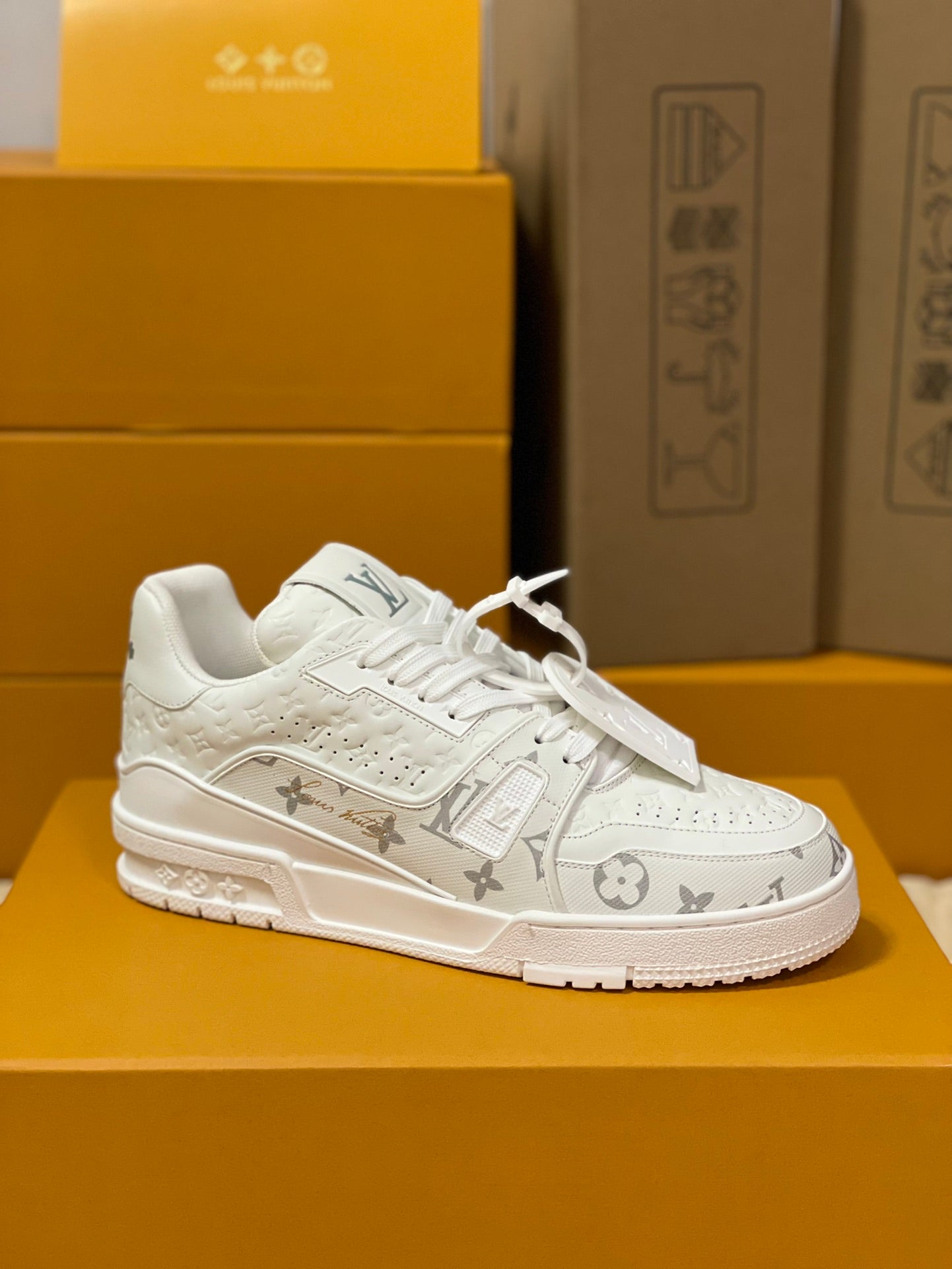 Designer Sneakers Shoes – Lifestyle Sneakers, Latest Sneakers