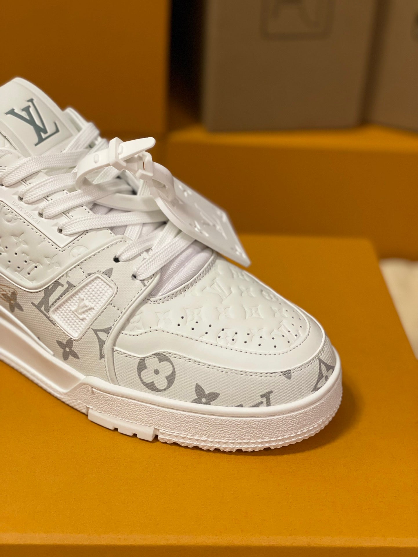 Designer Sneakers Shoes – Lifestyle Sneakers, Latest Sneakers