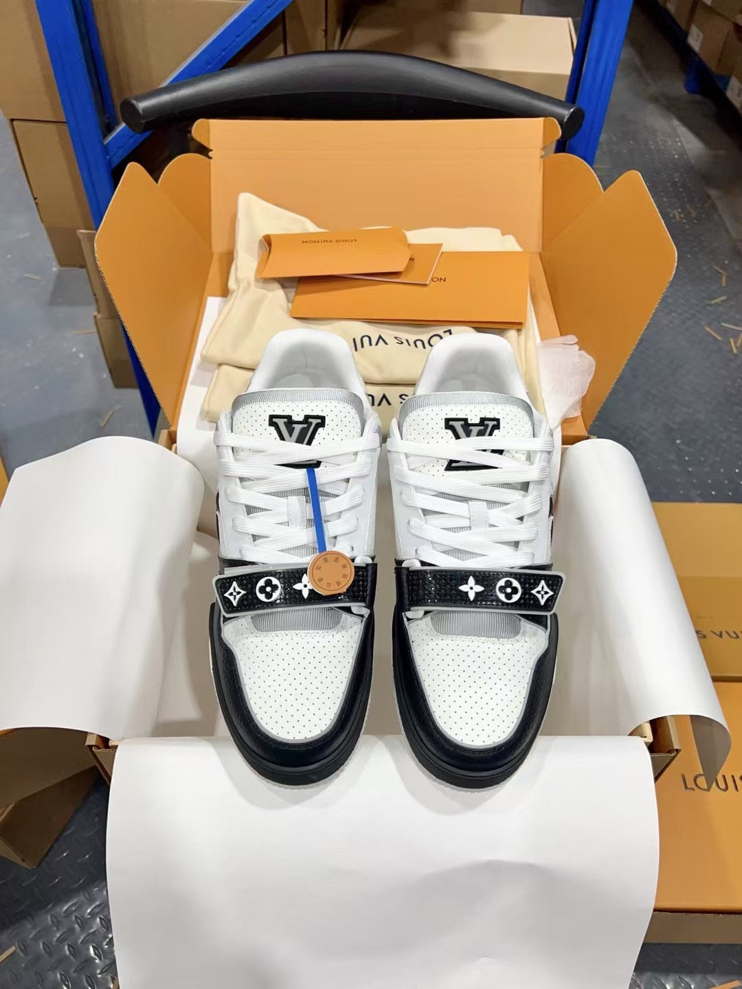 Designer Sneakers Shoes – Lifestyle Sneakers, Latest Sneakers