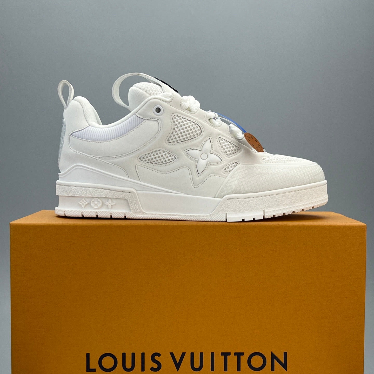 Designer Sneakers Shoes – Lifestyle Sneakers, Latest Sneakers